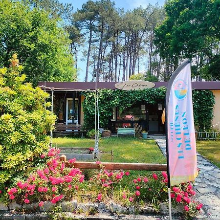 Village Vacances Les Chenes De Leon Exterior photo
